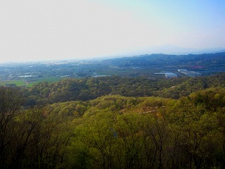 金山北側の丘陵地の緑