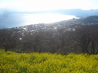 吾妻山公園