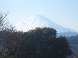 吾妻山公園