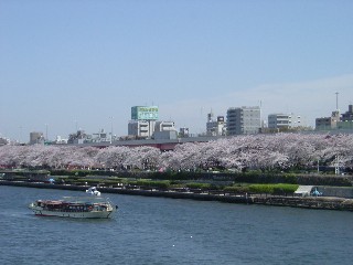 䓌摤Be