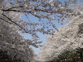 쉶