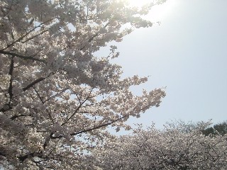 쉶