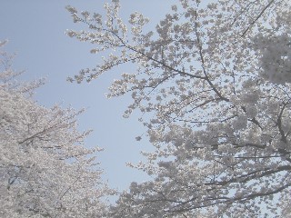 쉶