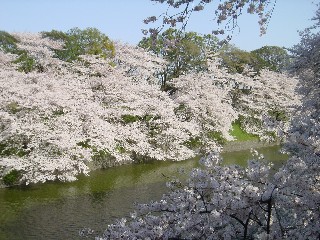 璹̍