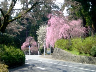 ŏ掛Q̍g}