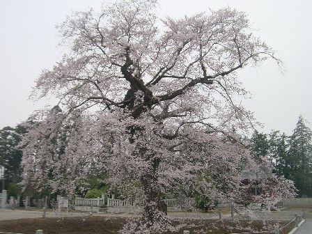 쎛EGhqKUN