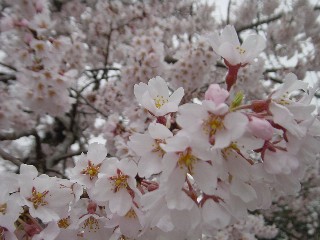 쎛EGhqKUN