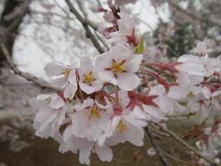 쎛EGhqKUN