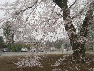 쎛EGhqKUN