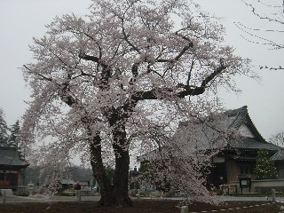 쎛EGhqKUN