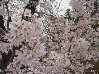 쎛EGhqKUN