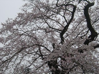 쎛EGhqKUN