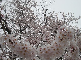 쎛EGhqKUN