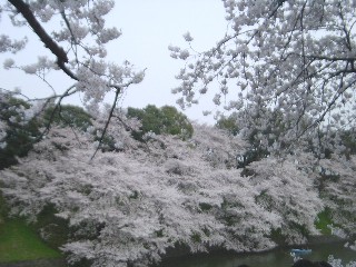 璹̍