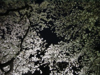 璹̖
