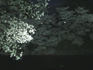 璹̖