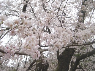 _Ђ̃GhqK