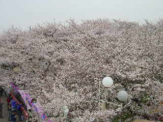΂̍