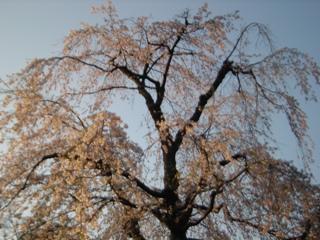 pٕƉ~ʂ̎}