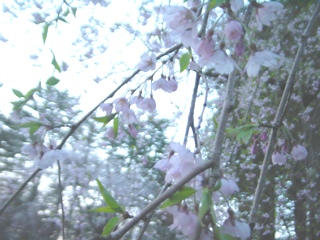 pٕƉ~ʂ̎}
