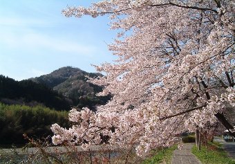 헤{sƘay