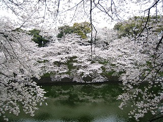 璹̍