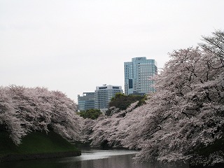璹