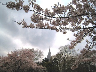 Vh䉑̍