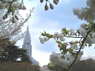 Vh䉑̍