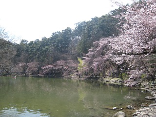 痳̍