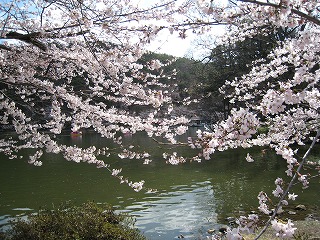 痳̍