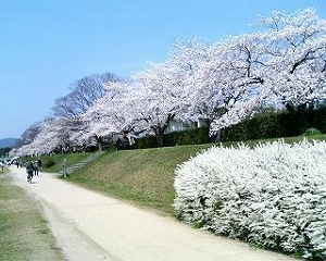 ΐyo_Hӂ̍