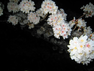 ̍