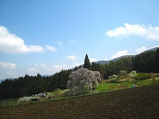 ̃V_UN