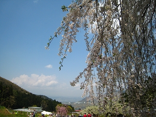 ̃V_UN