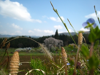 ̃V_UN