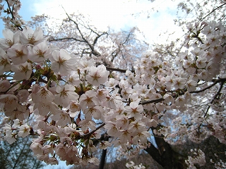 Ԙaω̃V_UN