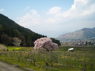 ̃GhqKUN