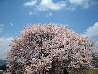 ̃GhqKUN