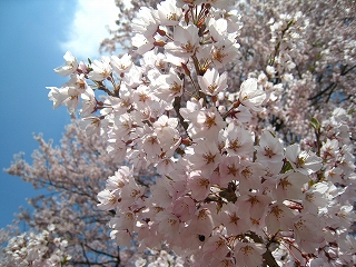 ̃GhqKUN