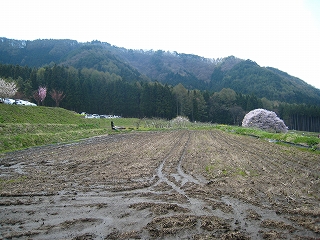 ̃GhqKUN
