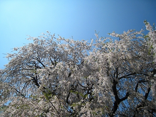 ̃V_UN
