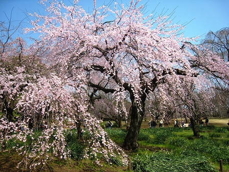 Vh䉑