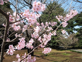 Vh䉑