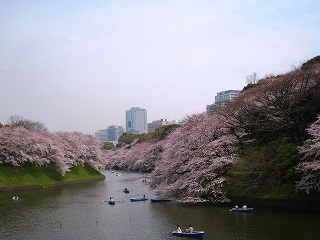 璹