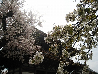r{厛
