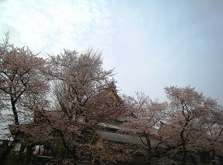 r{厛
