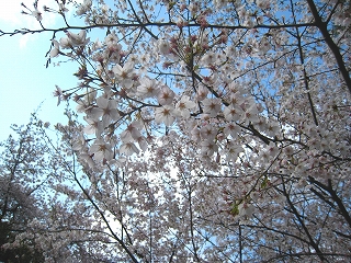 Nw