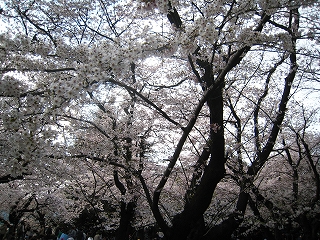 Nw