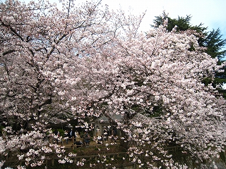 Nw